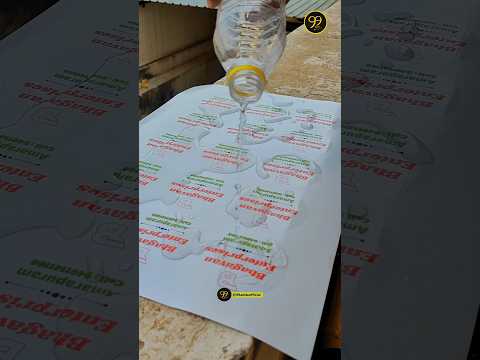 Transparent Diecut Stickers